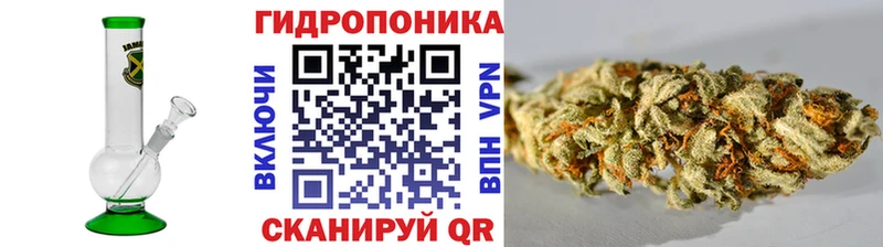 Где можно купить наркотики Судак COCAIN  Alpha-PVP  Гашиш 