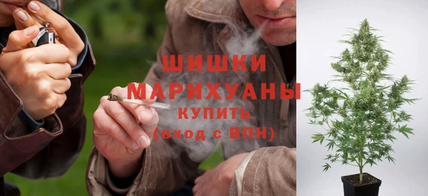 гидра Семилуки