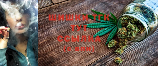 гидра Семилуки