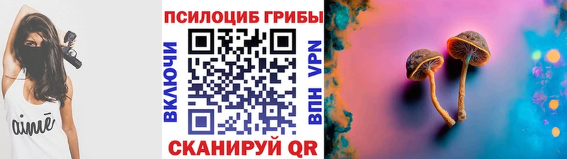 Галлюциногенные грибы Psilocybe  как найти наркотики  mega tor  Судак 